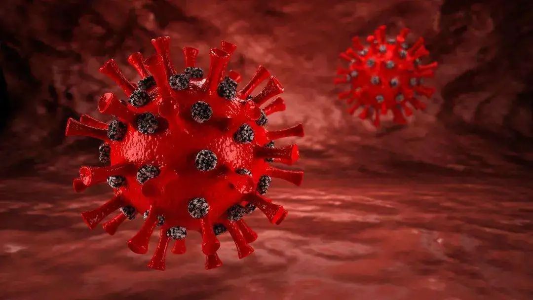 出现新冠病毒集中感染,从当地时间12月29日起滞留在葡萄牙首都里斯本
