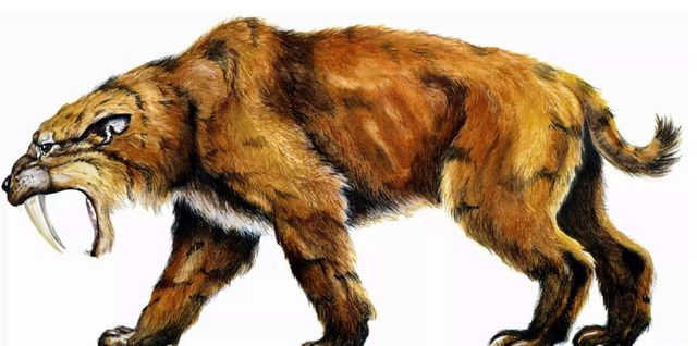 原始人|食肉动物|食草动物_新浪新闻