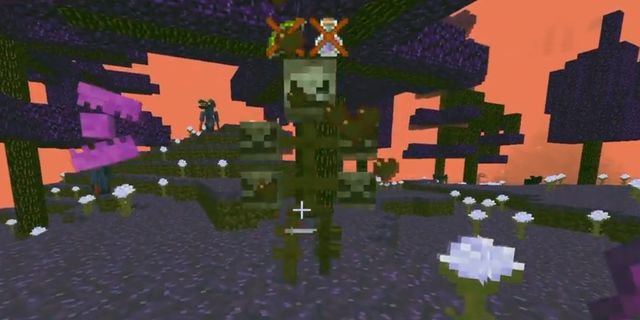 我的世界：幽魂是虚影的强化版？无限增殖的分身，要第一时间清除休闲区蓝鸢梦想 - Www.slyday.coM