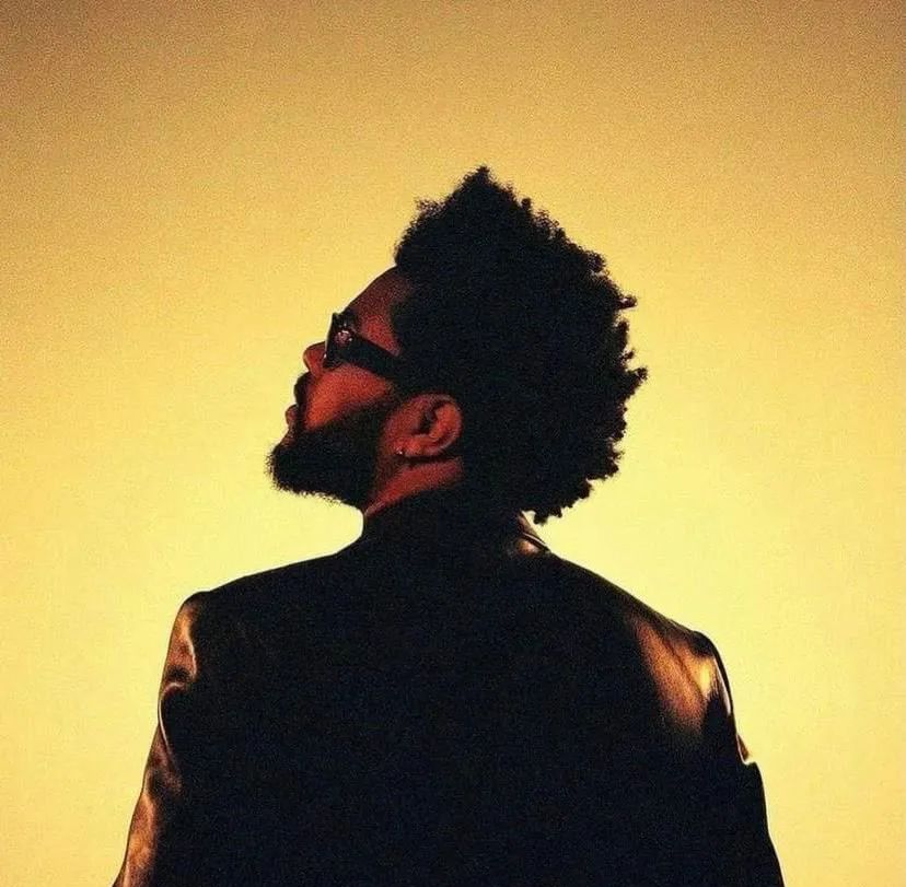 盆栽theweeknd宣布新专辑本周发行