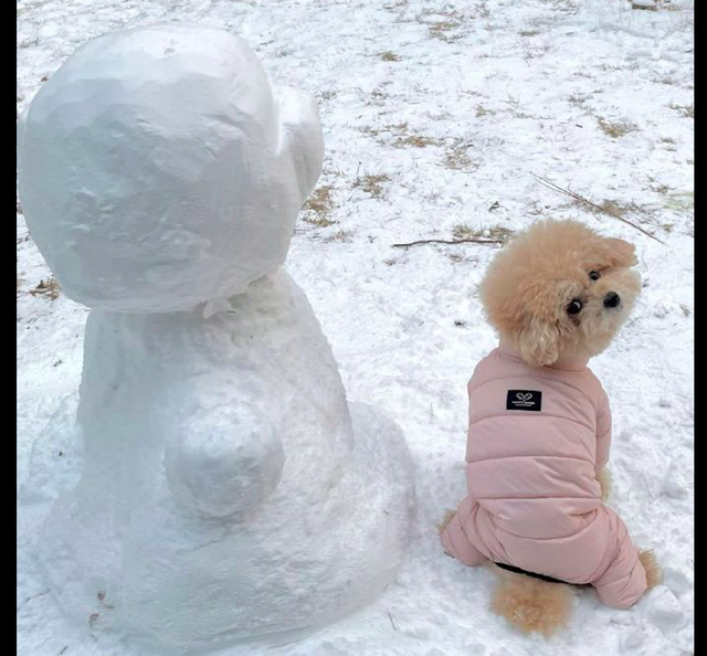 主人堆了个和狗狗一模一样的雪人,它面无表情看着:想取代我吗?休闲区蓝鸢梦想 - Www.slyday.coM 主人堆了个和狗狗一模一样的雪人,它面无表情看着:想取代我吗?休闲区蓝鸢梦想 - Www.slyday.coM