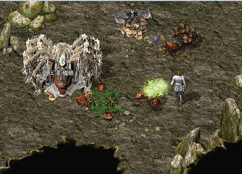 蜘蛛|火龙|热血传奇_新浪新闻