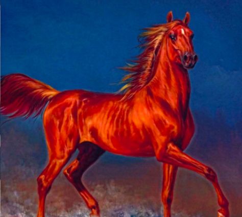 心理学哪匹马才是汗血宝马测出你天生的财商有几分