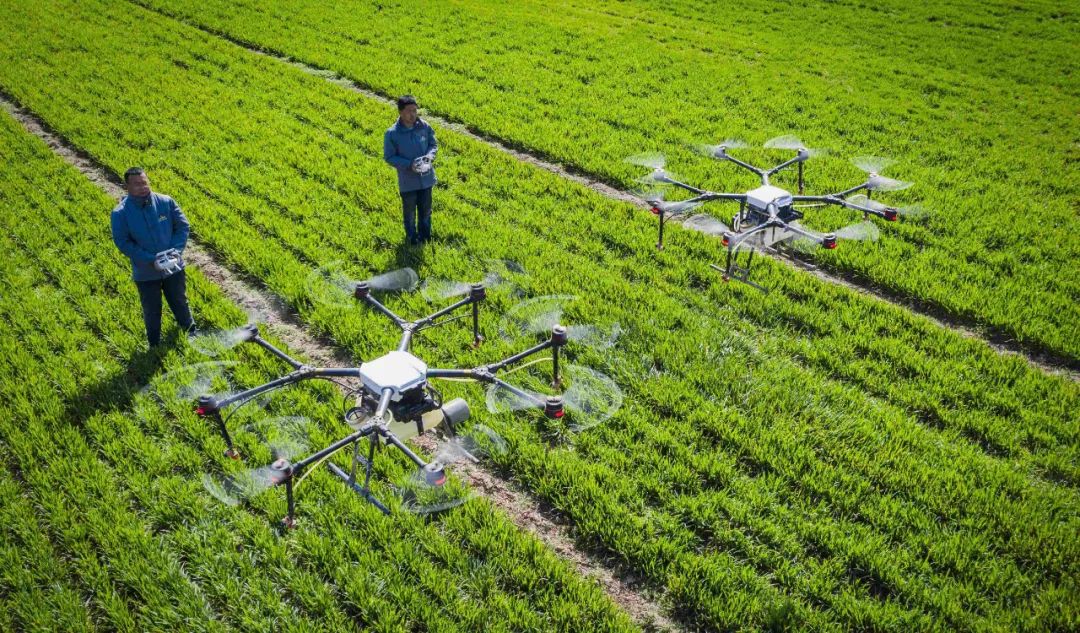 2021年农业现代化示范区创建名单山西清徐太谷临猗入选