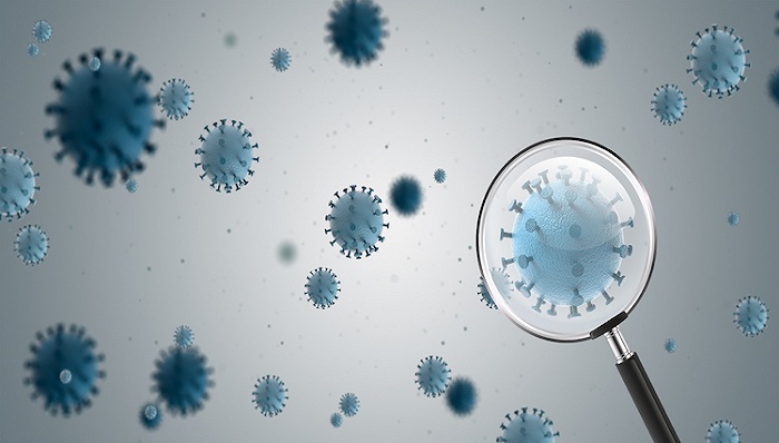 法国南部发现新的新冠变异毒株，携带46种突变休闲区蓝鸢梦想 - Www.slyday.coM