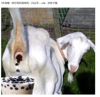羊粪成大生意需求大增搭配果汁豆浆一起喝