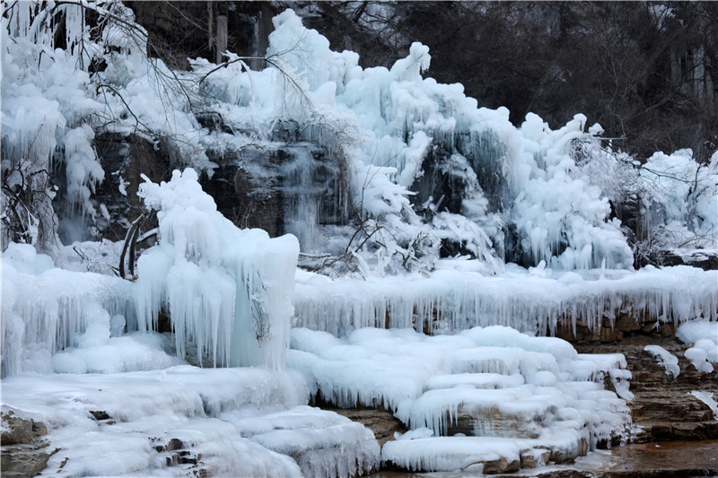 河南焦作云台山现冰挂奇观晶莹剔透美如童话