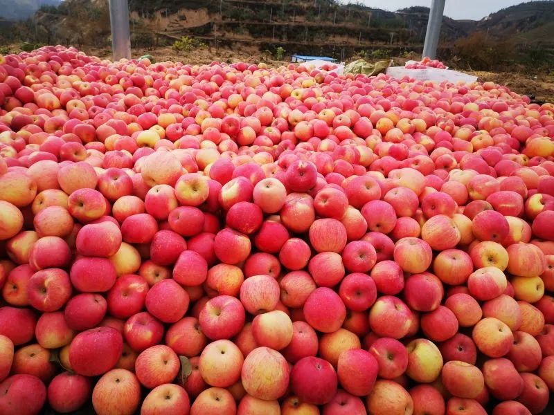 苹果企业邮箱怎么设置