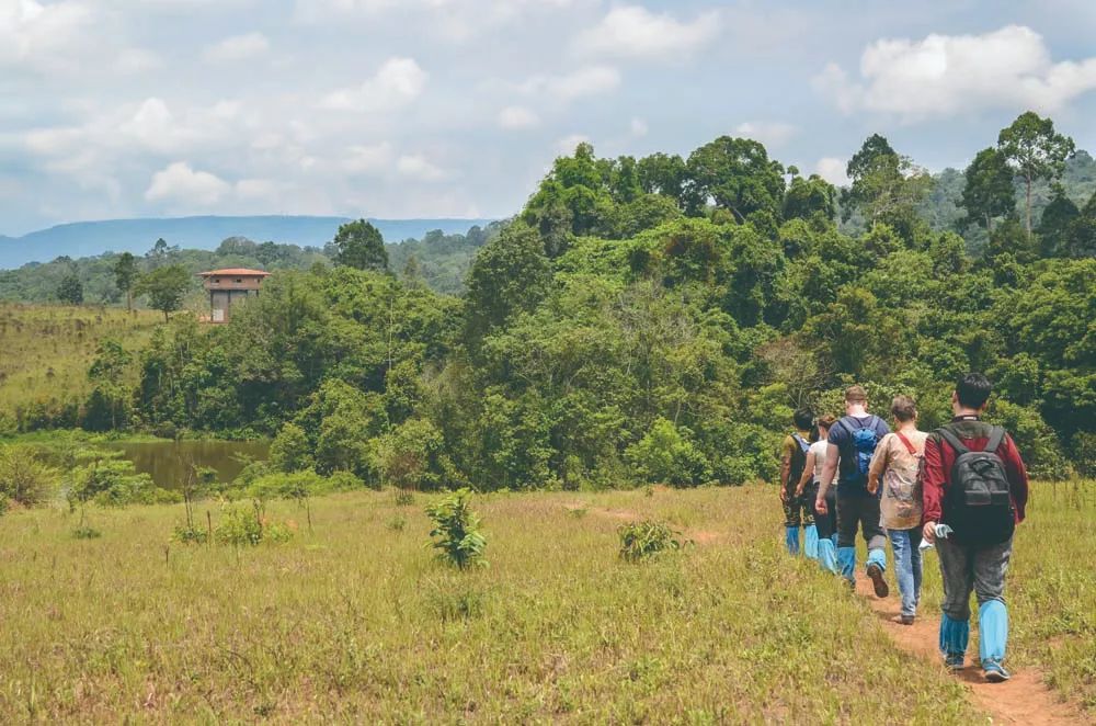 泰国雨林迷幻神奇