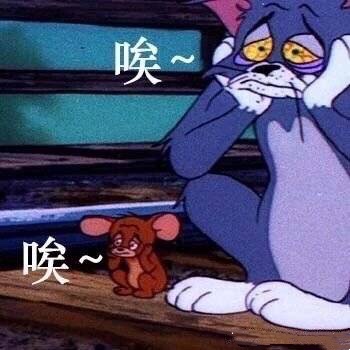 毕竟爸妈老了,见一面少一面,不知未来还能剩下多少共处的时间.