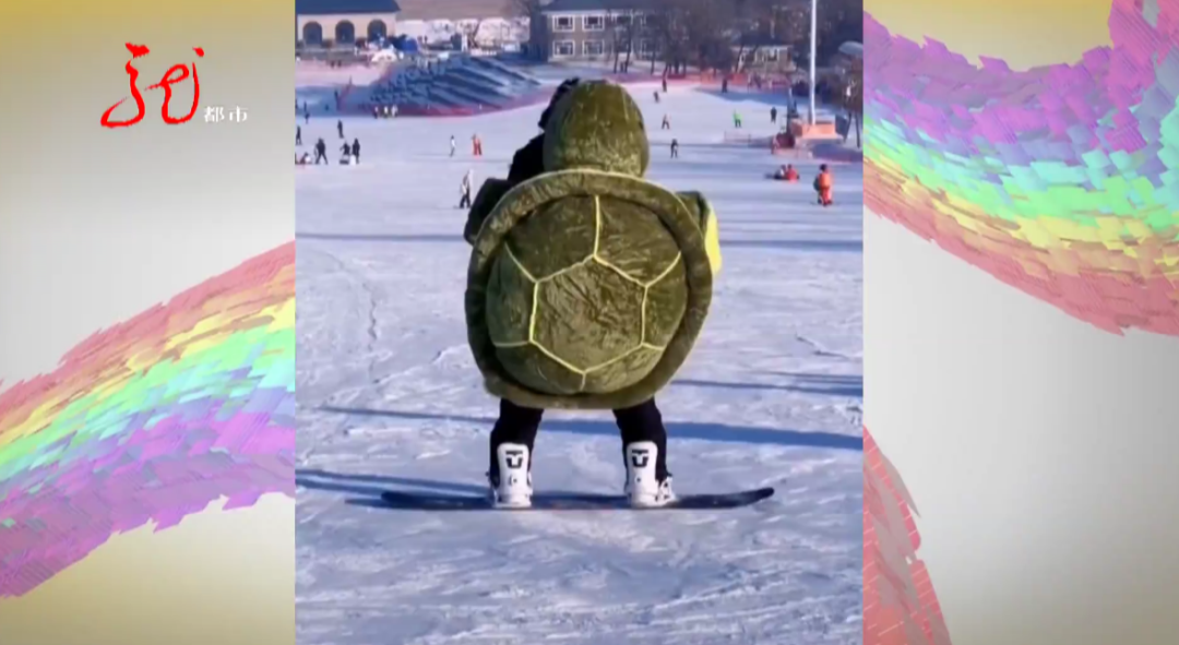 萌翻了小乌龟大白熊小动物们齐上滑雪场