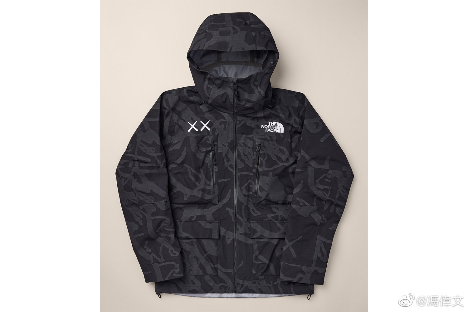 kawsxthenorthface过