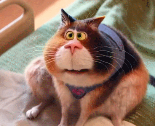 心灵奇旅中的猫猫好想抱回家啊