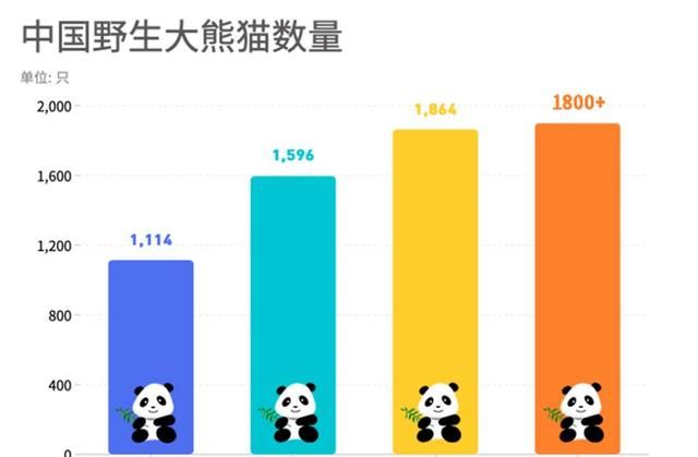研究十多年,科学家终于明白,为何熊猫沉迷"滚马粪"无法自拔|大熊猫