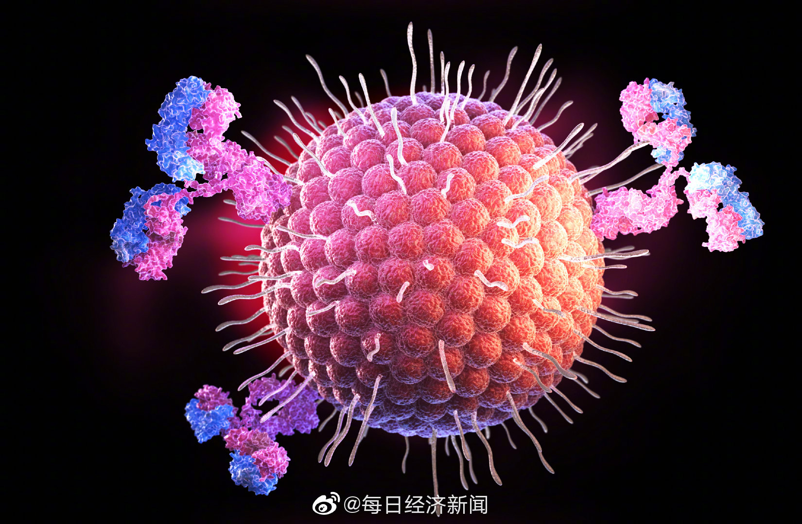 新变异毒株ihu突变点比奥密克戎多9个至少感染12人世卫组织正进行观察