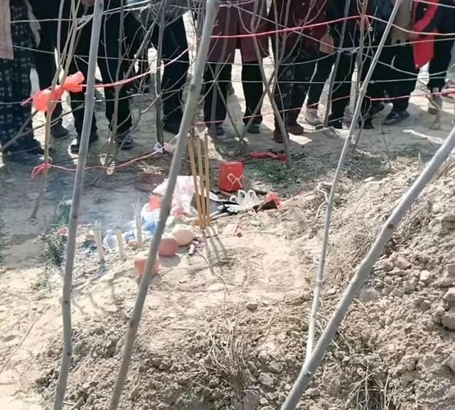 1975年海城冬蛇集体出洞1个月后发生75级地震巧合还是前兆