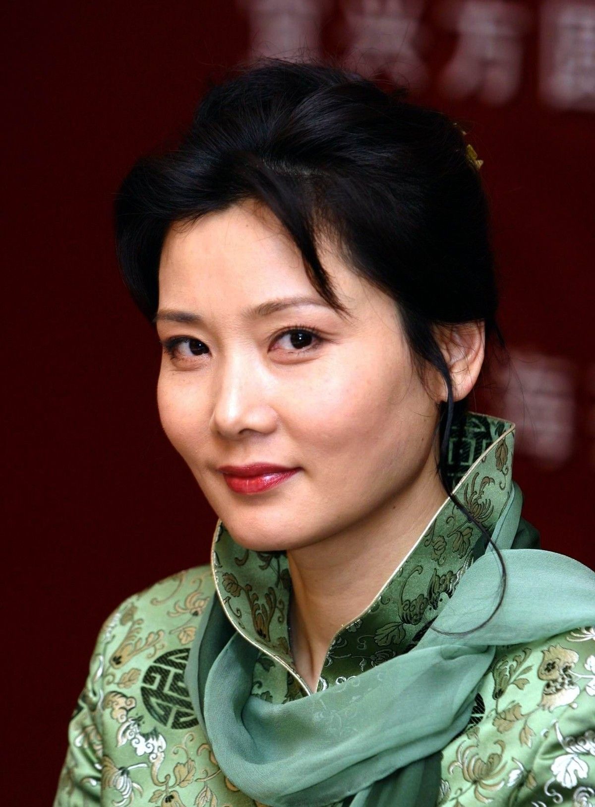 何赛飞:父亲为她终生未娶,丈夫为她不要孩子,为爱高龄产子|何赛飞