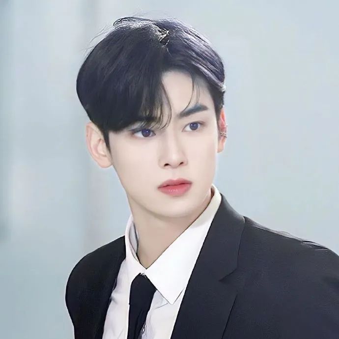 韩系爱豆门面代表车银优.前100里大多也都是国内外耳熟能详的帅哥们.