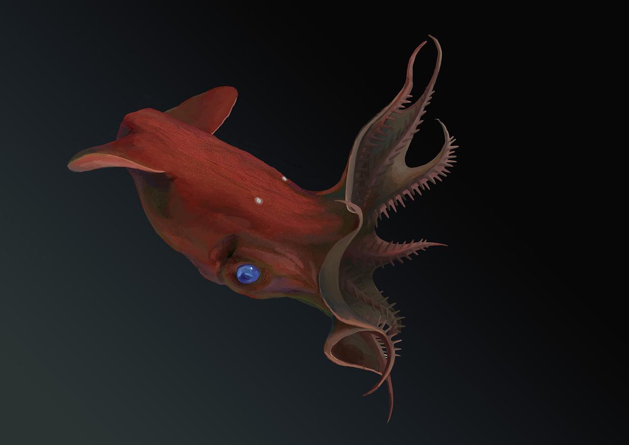 大王酸浆鱿是属于头足纲的,这个纲在海中还有很多种类.