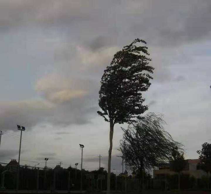 那些年的西北风