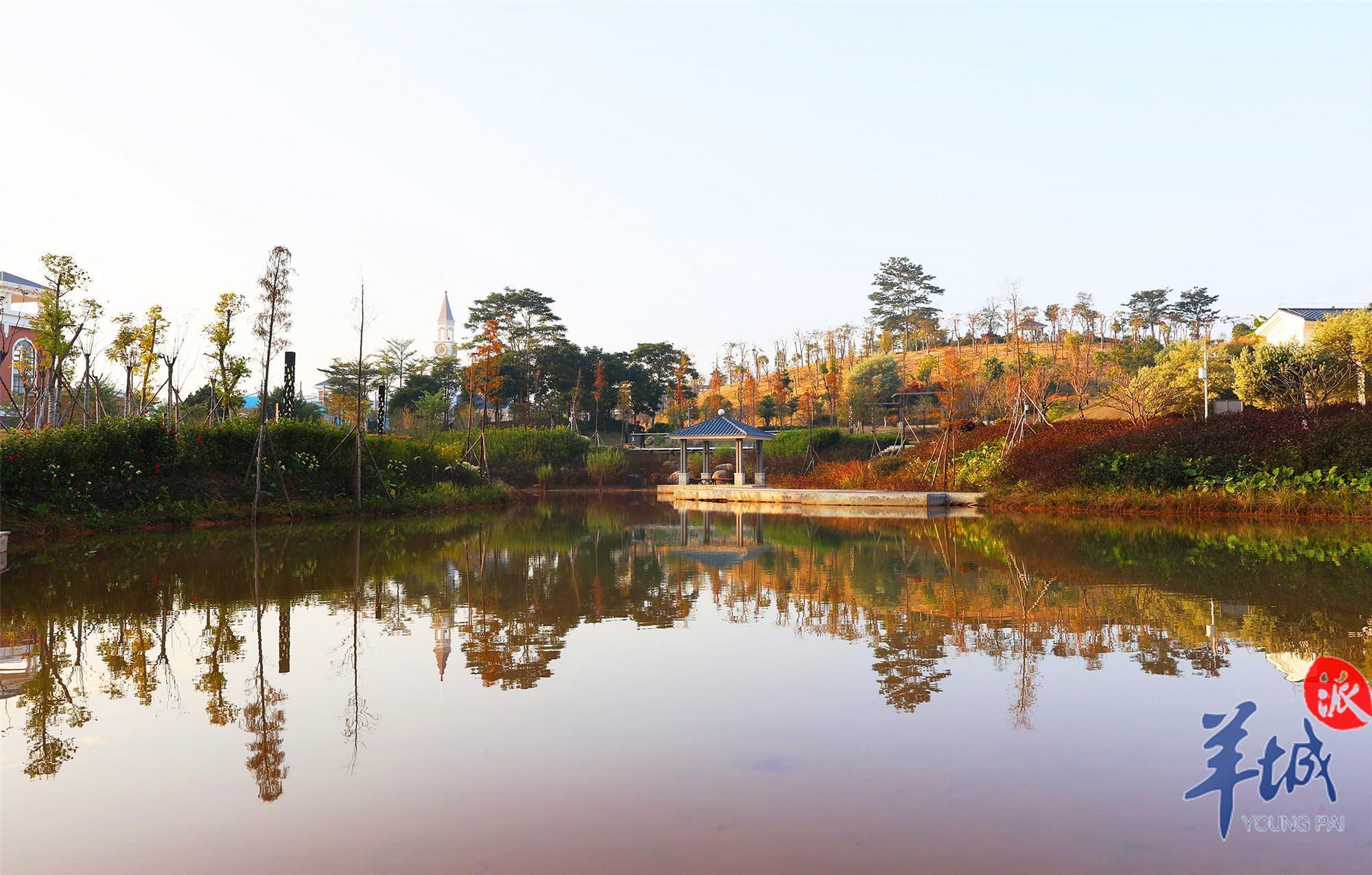 莞邑乡村新动能百花林公园鸟语花香市民家门口感受诗和远方