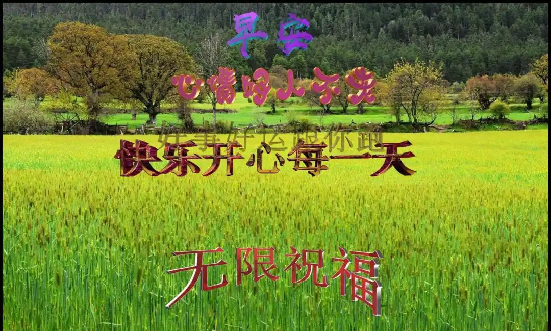 快乐幸福每一天珍贵友谊温馨问候祝福