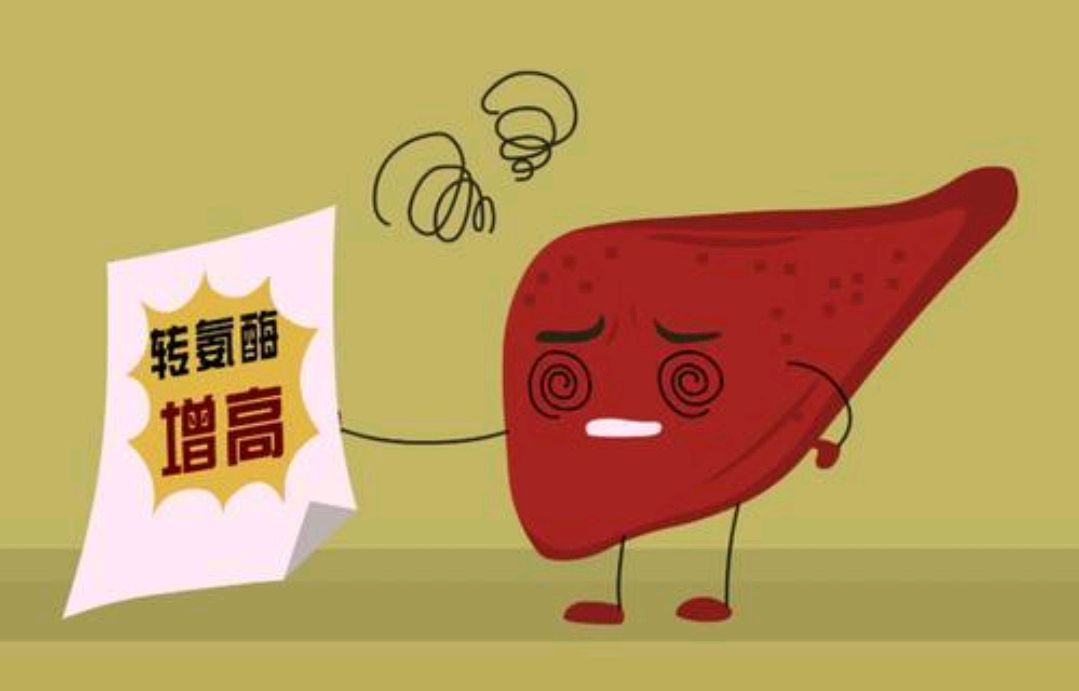 2个习惯会导致转氨酶偏高若你还在做请尽快改掉避免肝受伤