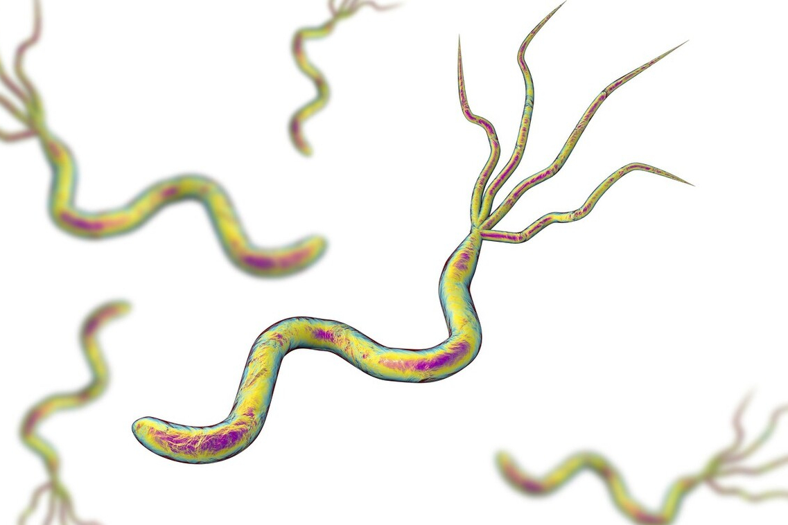 幽门螺杆菌检查值2000,就离胃癌不远了?辟谣为你讲出实情休闲区蓝鸢梦想 - Www.slyday.coM 幽门螺杆菌检查值2000,就离胃癌不远了?辟谣为你讲出实情休闲区蓝鸢梦想 - Www.slyday.coM