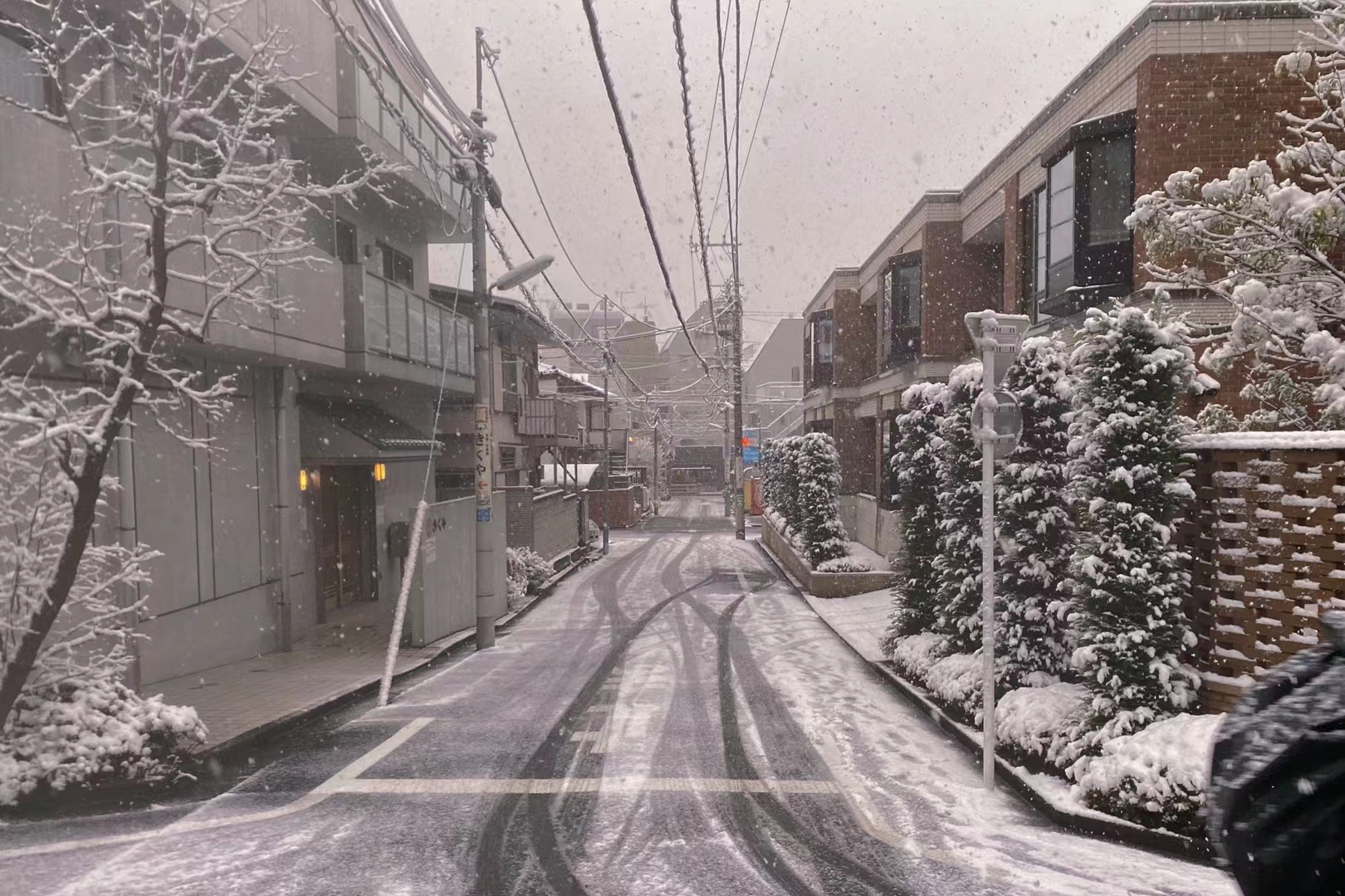 日本东京遭罕见暴雪袭击，为地震前兆？分析：暂未发现必然联系休闲区蓝鸢梦想 - Www.slyday.coM