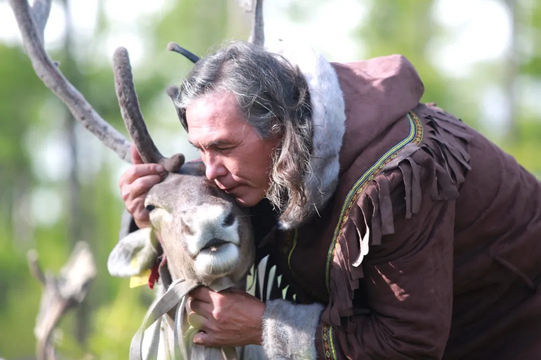 第四届青年展作品 | 王伟:使鹿鄂温克人|王伟|鄂温克|摄影_新浪新闻