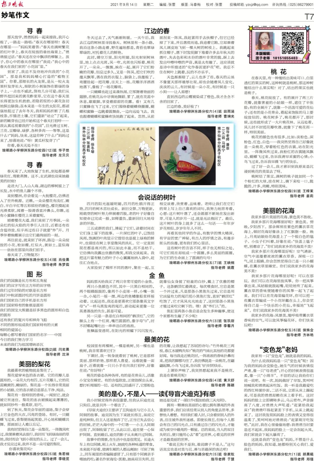 佳作赏析 21年9月14日t7版优秀作品 欢迎投票 花海 新浪新闻