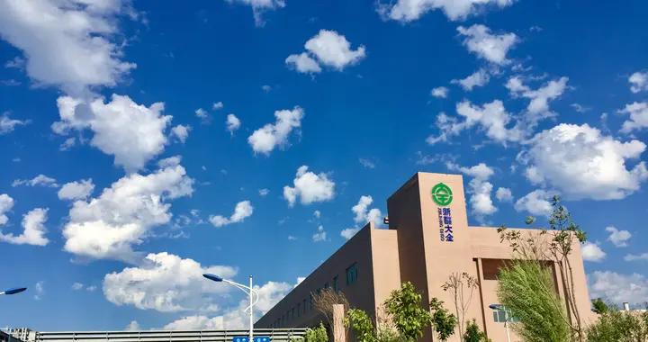 网易端游戏大全排行榜 网络游戏排行榜有哪些值得推荐