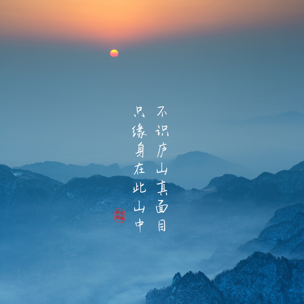 谁见幽人独往来,缥缈孤鸿影.