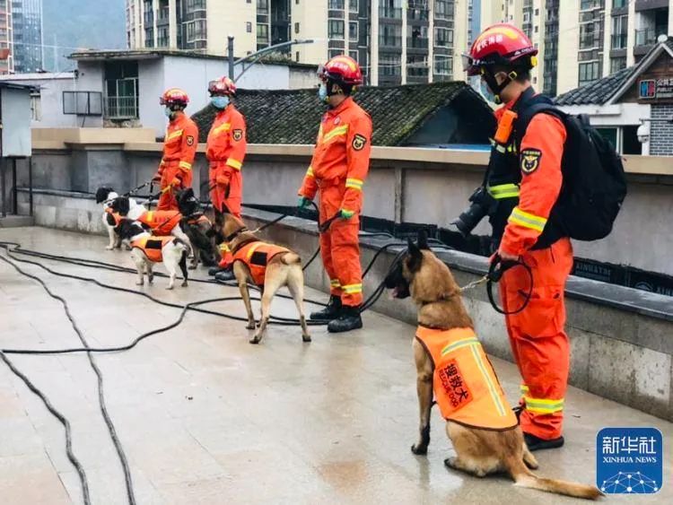 重庆武隆食堂坍塌事故已救出20人，其中9人死亡！夜间救援仍在继续休闲区蓝鸢梦想 - Www.slyday.coM