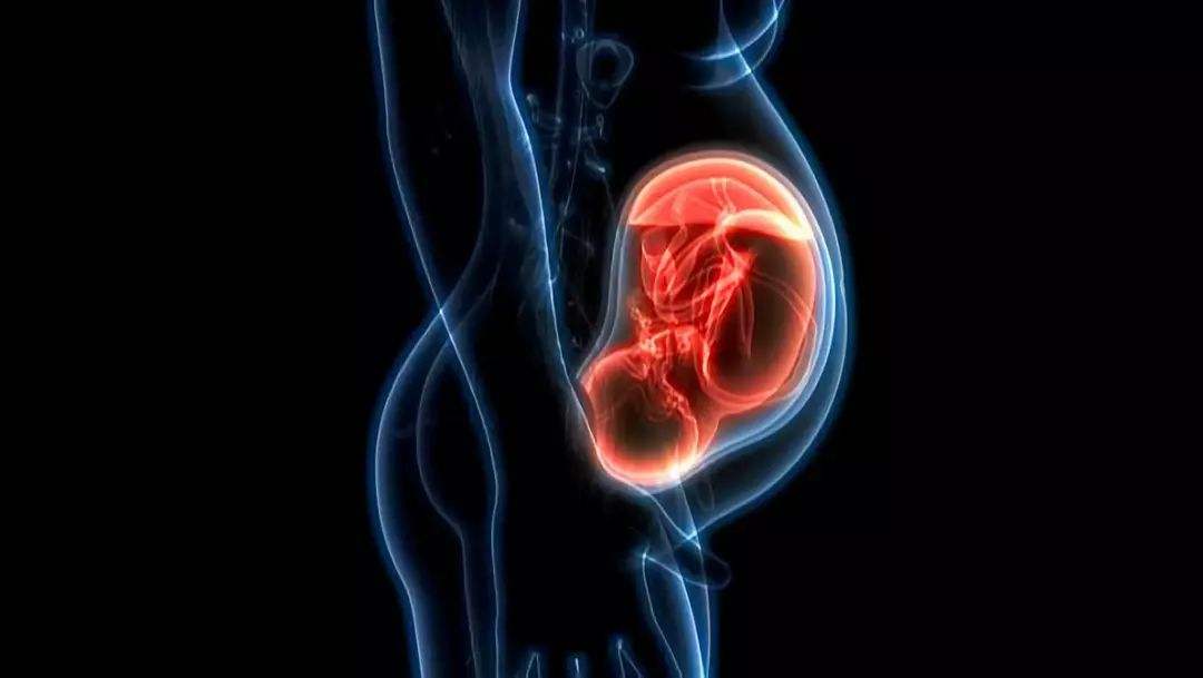 自然血液预测孕期先兆子痫风险将准确率提高7倍