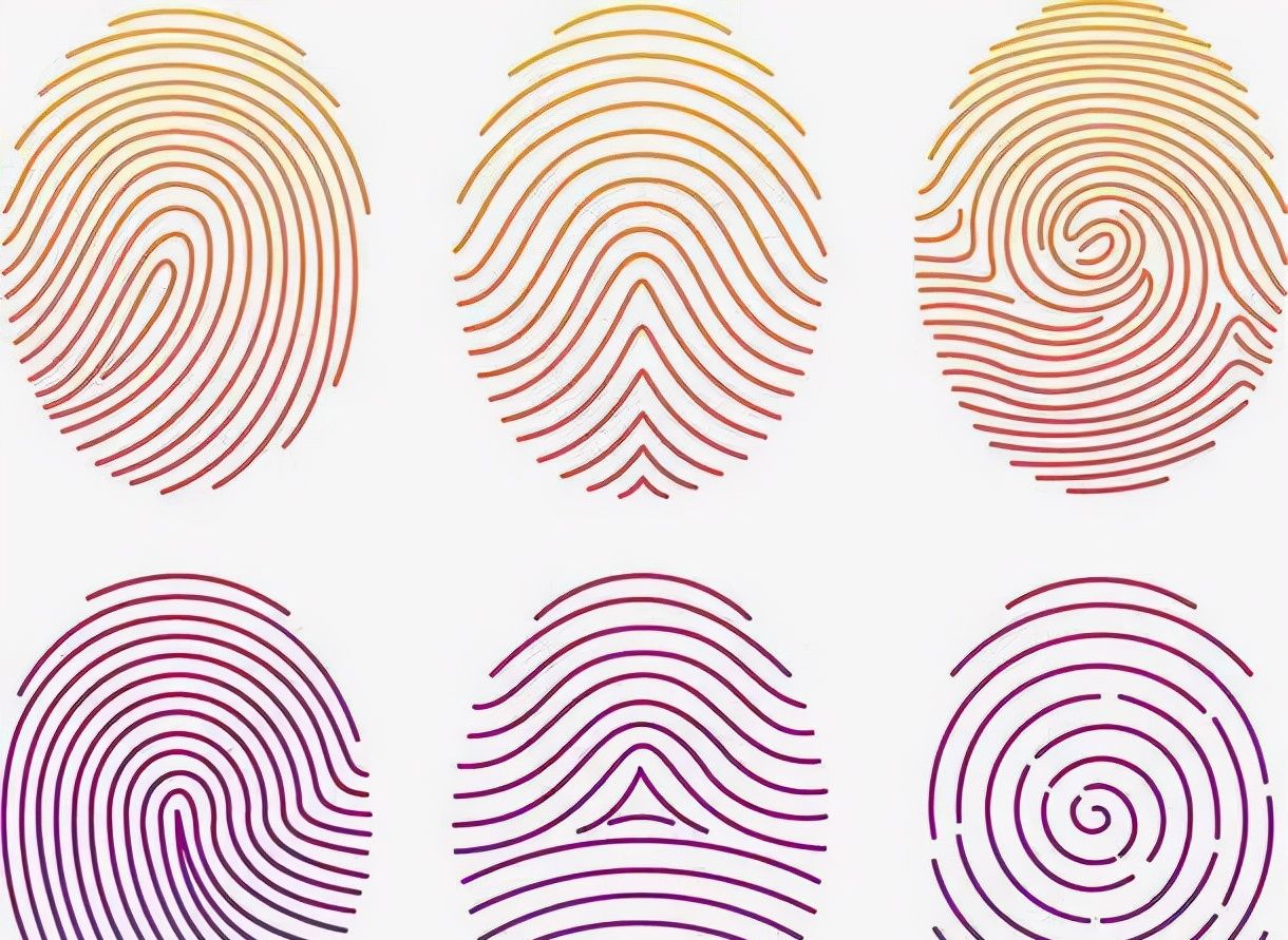 指纹高质量照片