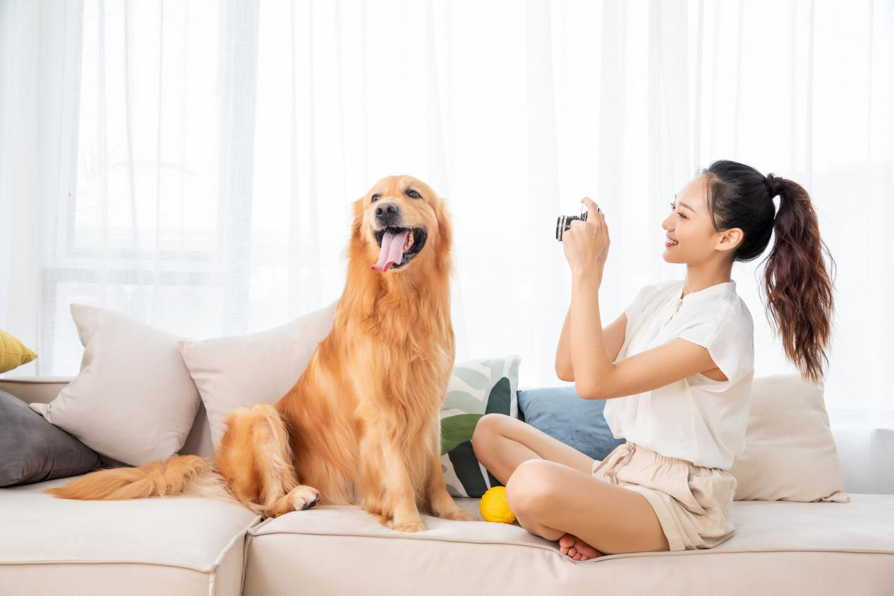 家有萌宠,如何打造健康好空气但是,人们在与宠物的朝夕相处中也会产生