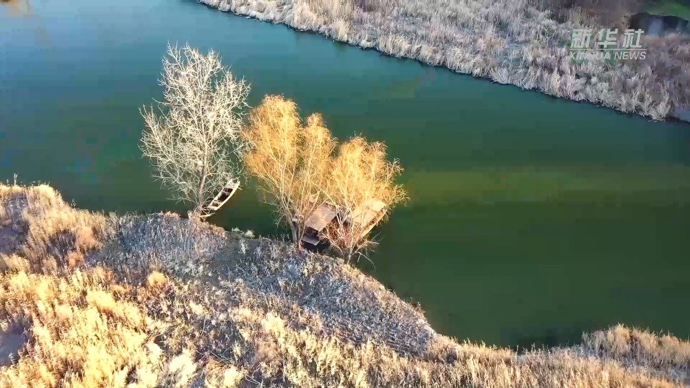 徐马荒湿地:候鸟,芦荻,碧波绘就原生态风光