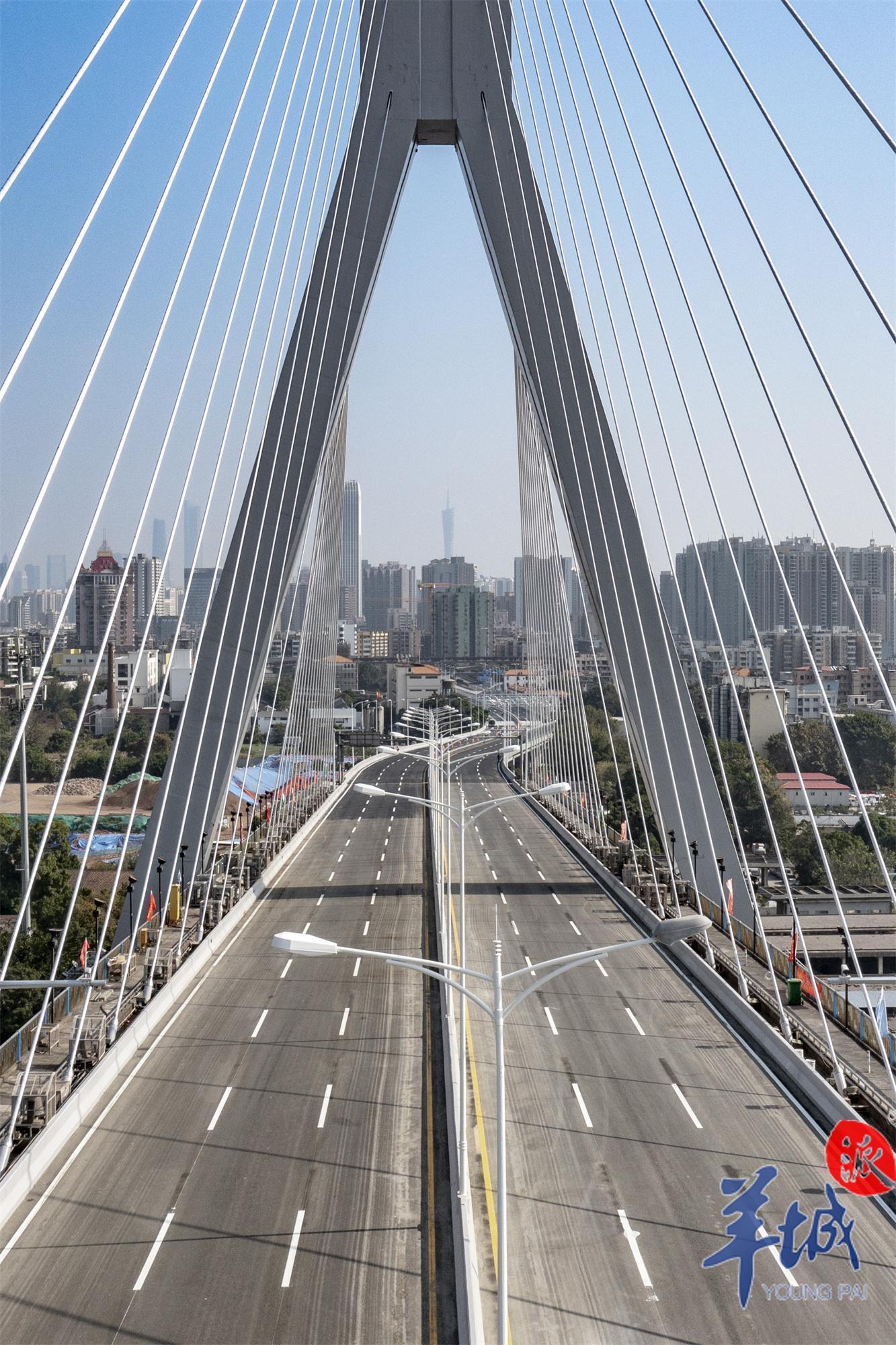 视频这150天鹤洞大桥经历了什么