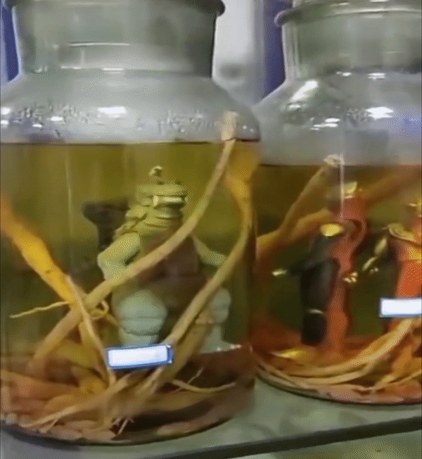 天津相声广播现世报终极钢铁直男出现了