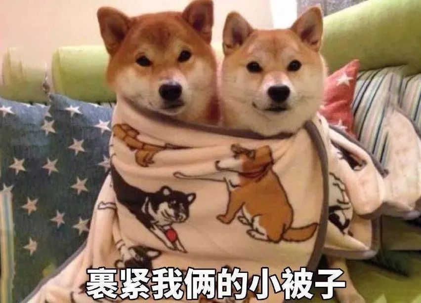 本土新增95+6！上海无症状感染者+5，广东疾控最新提醒→休闲区蓝鸢梦想 - Www.slyday.coM