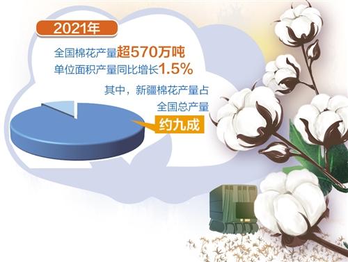 棉花量稳质升 主产区3000多万亩棉花已被陆续收购