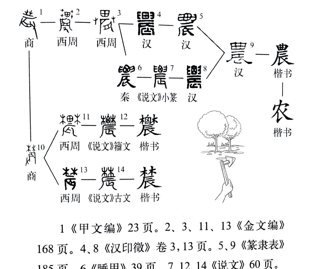 《说文解字》509课:“晨”和“農(农)”为啥长得这么像?