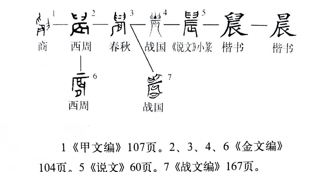 《说文解字》509课:“晨”和“農(农)”为啥长得这么像?