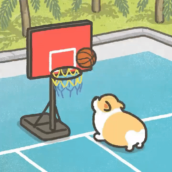 全网爆火的小短腿柯基冬日萌照曝光10万粉丝感叹好想养一只