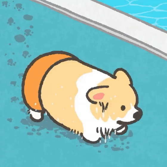 全网爆火的小短腿柯基冬日萌照曝光10万粉丝感叹好想养一只