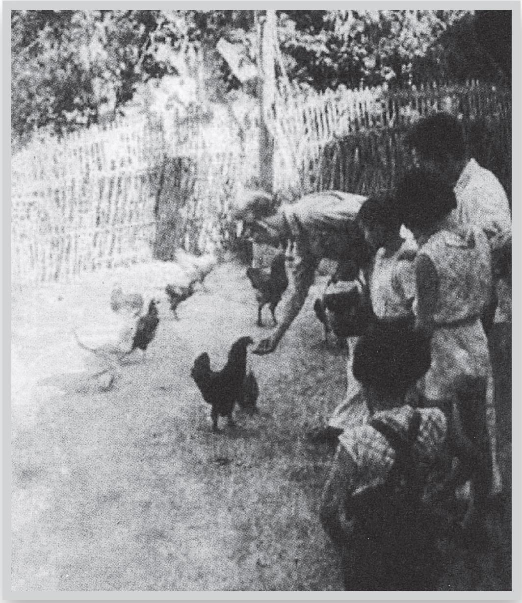 梁再冰回忆父母：他们的信念和乐观精神源自对文化的坚信休闲区蓝鸢梦想 - Www.slyday.coM