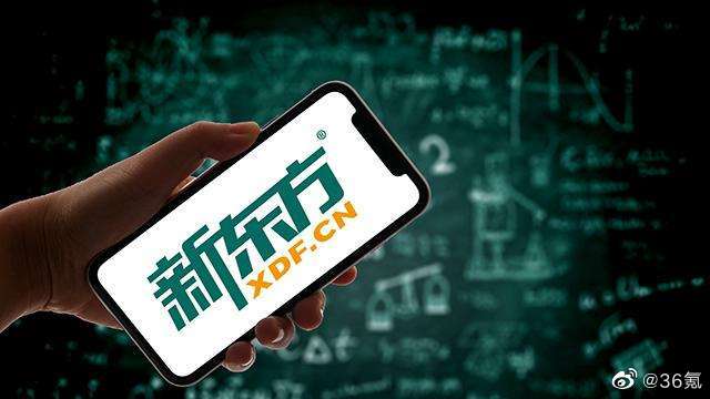 新东方平均每2天成立一家新公司，员工辞退6万人休闲区蓝鸢梦想 - Www.slyday.coM