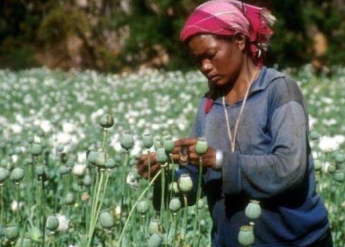 从四川打工仔到“缅北毒王”，5年获利4亿，被捕时他撂下一句狠话休闲区蓝鸢梦想 - Www.slyday.coM