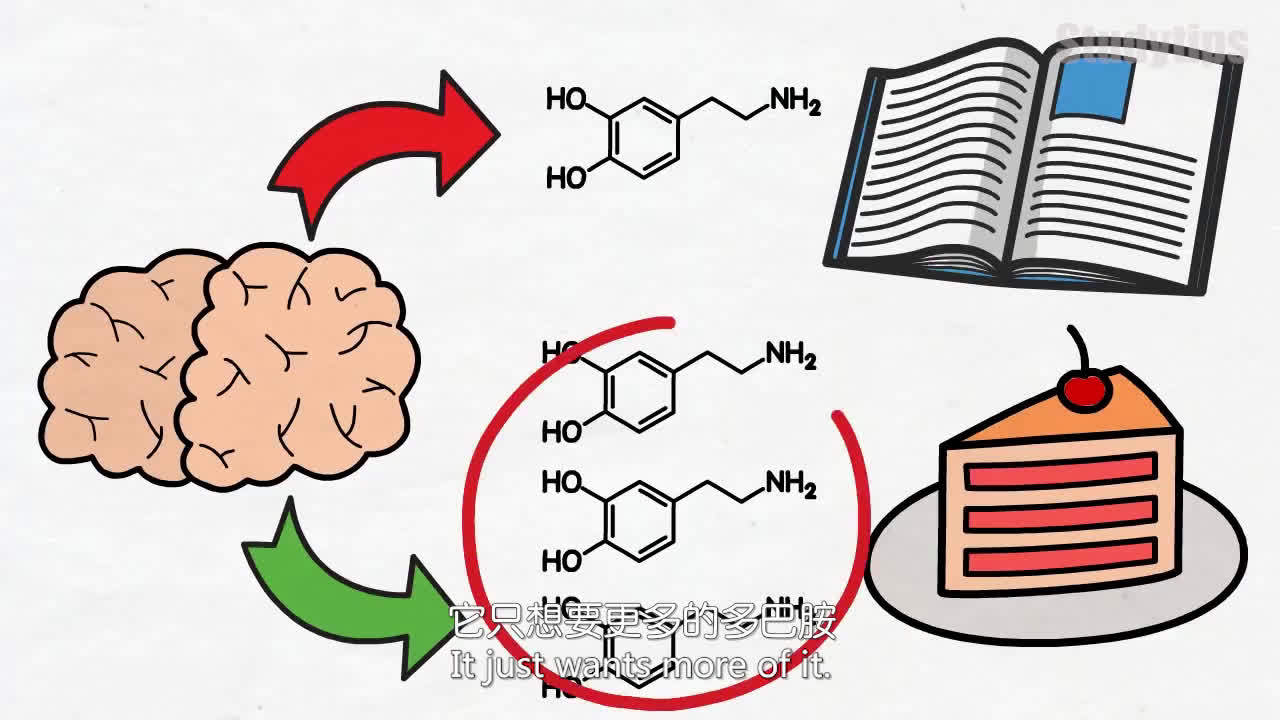 如何戒断多巴胺，重新掌控你的生活？|雅思|状态|事情|大脑|常态_新浪新闻